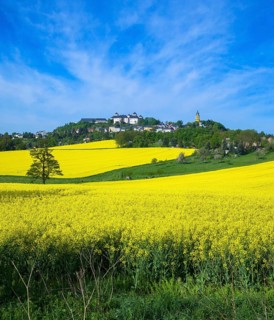 Augustusburg Castle