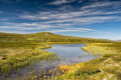 Lake in the landscape of the Hardangervidda plateau, Norway, Europe