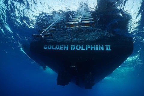 Safari boat, dive boat, Livaboard Golden Dolphin II, from below, ladder, exit. Dive site Umm Aruk,