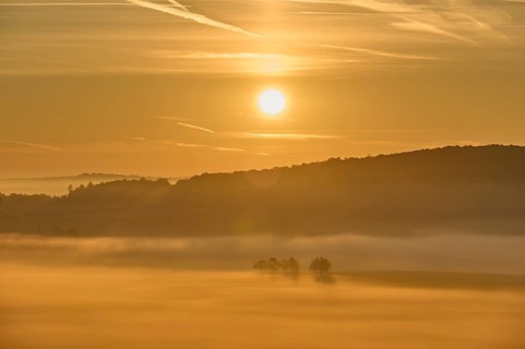 Landscape, fog, trees, forest, sunrise, Höhefeld, Wertheim, Baden-Württemberg, Germany, Europe