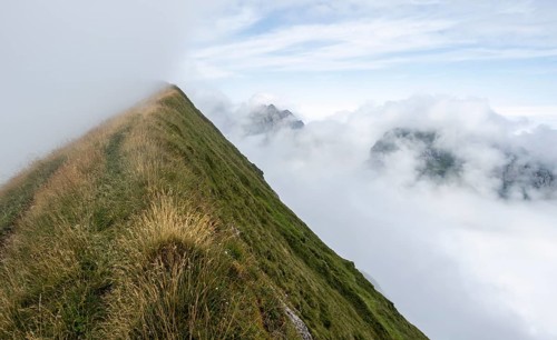 Steep grassy mountains in the fog, ascent to Marwes, Säntis, Appenzell Ausserrhoden, Appenzell