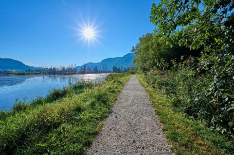 Hiking trail, cycle path, sun, morning, summer, Bleistätter Moor, Steindorf am Lake Ossiach, Lake