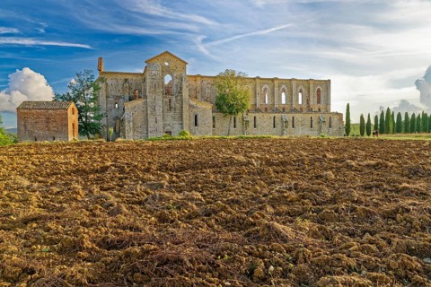 Church ruins of the Cistercian Abbey of San Galgano, Abbazia San Galgano, Gothic, Tuscany, Italy,