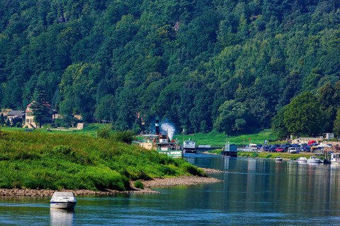 Elbe steamer Pirna in Wehlen