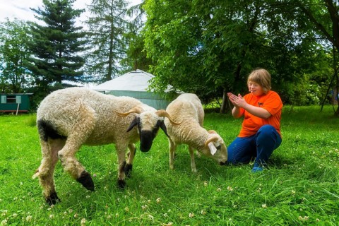 Curative riding on the Andershof farm