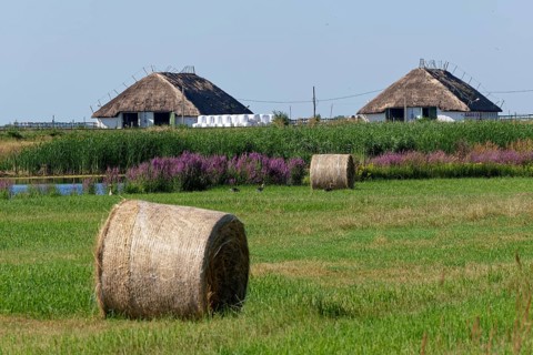 Puszta and steppe landscape in Hortobagy National Park, Hortobagy Nemzeti Park, UNESCO Biosphere