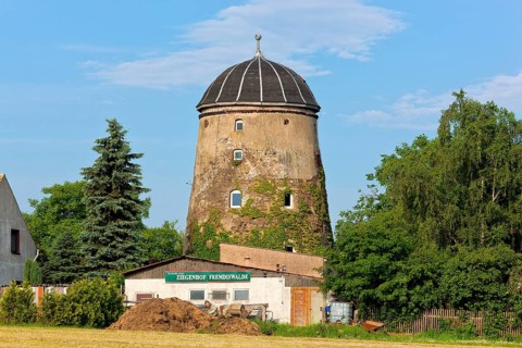 In addition to goats, the Fremdiswald mill is also home to llamas, donkeys, saddle pigs,
