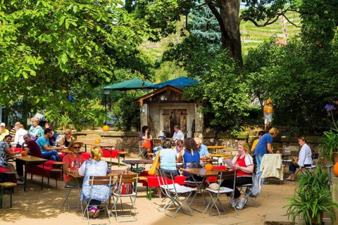Open Winery Day in Saxony The winery is located in Radebeul in Oberlössnitz, at the foot of the