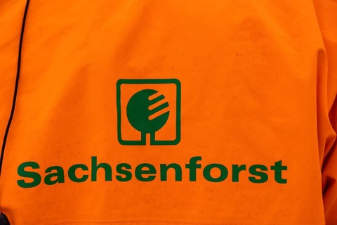 Employees of Sachsenforst at a press event for wood salvage in the Kirnitzschklamm gorge