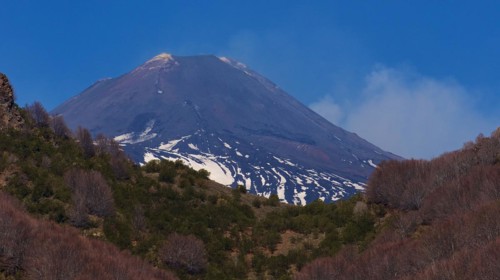 Peak, Forest, Slopes with snow, Etna, Volcano, Eastern Sicily, Sicily, Italy, Europe