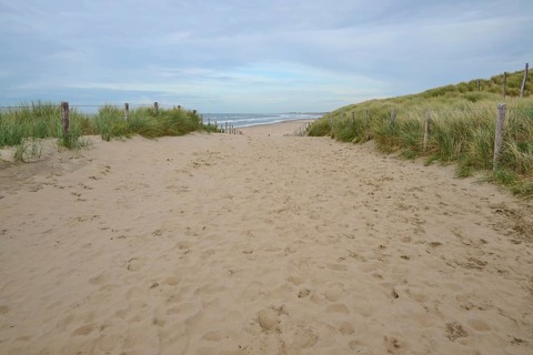 Beach access, sand dune, sea, dune grass, clouds, Zandvoort, North Sea, North Holland, Netherlands