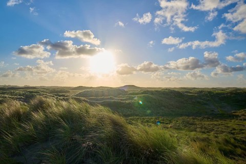 Sand dune, dune grass, wind, sun, clouds, morning, Amsterdam water line dunes, Zandvoort, North