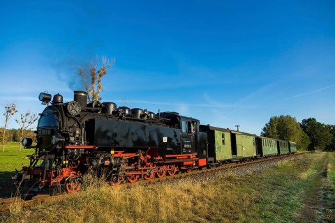 For the annual line birthday of the Lössnitzgrundbahn, many special trains from different eras of
