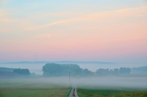 Landscape, country lane, twilight, fog, morning, Höhefeld, Wertheim, Baden-Württemberg, Germany,