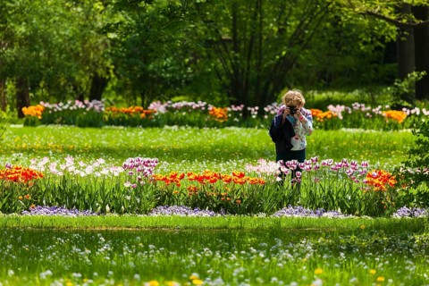 Tourist in Pillnitz Palace Park