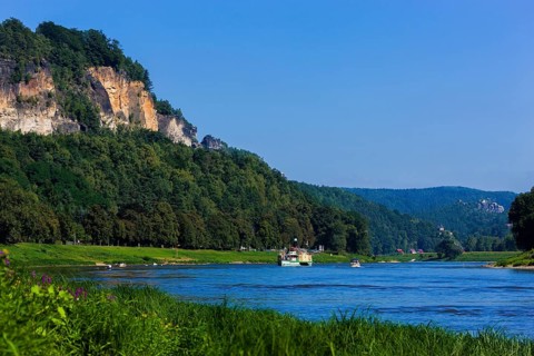 Elbe steamer Pirna in Wehlen
