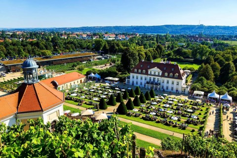 Wackerbarth Castle or Wackerbarths Ruh is a Baroque castle surrounded by vineyards in the
