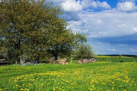 Village view Reinhardtsgrimma