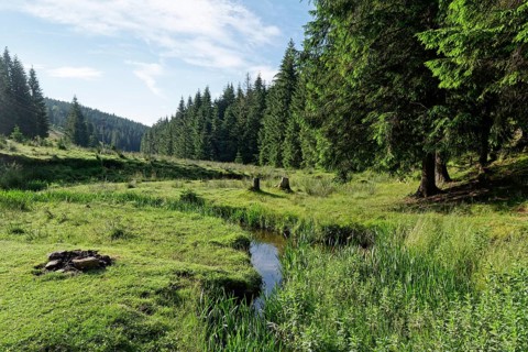 Landscape on the Romanian national road DN75 at the stream Paraul Vartopu. Vartop, Alba County,