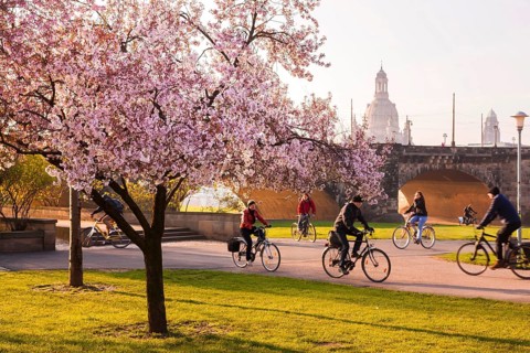 Spring on the Königsufer in Dresden