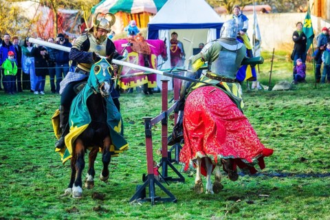 Knights Tournament Altzella