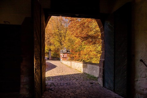 Kriebstein Castle rises on a steep rock above the Zschopau. Within the large group of hilltop