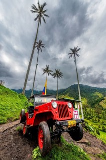 Old Willys jeep in the Cocora valley, Unesco site coffee cultural landscape, Salento, Colombia,
