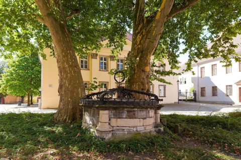 (Â© Sylvio Dittrich +49 1772156417) Fountain at Merseburg Cathedral