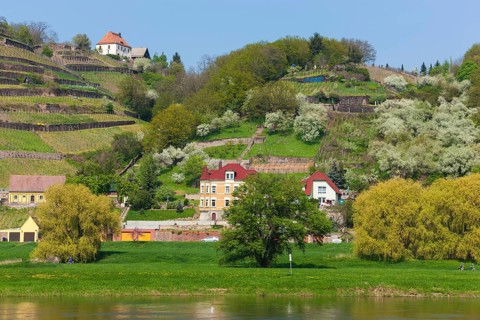 Elbe at the Boselspitze