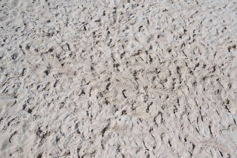 Beach Volleyball, Sand court, Summer, Lake Millstatt, Millstatt, Carinthia, Austria, Europe