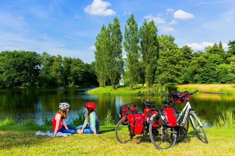 Elbe cycle path at Wörlitz Park