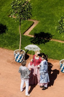 Return of the oranges from their winter quarters to the Dresden Zwinger