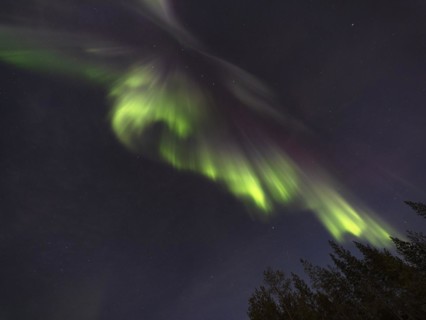 Colourful Northern Lights with the constellation Big Dipper and Polaris