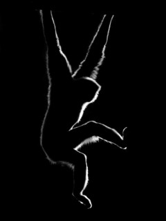 Gibbon (Hylobatidae) in black and white