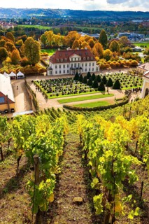 Wackerbarth Castle or Wackerbarths Ruh is a Baroque castle surrounded by vineyards in the
