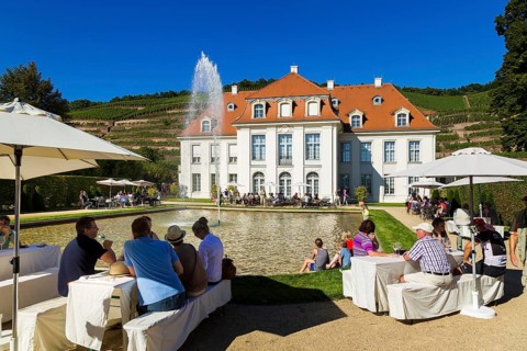 Wackerbarth Castle or Wackerbarths Ruh is a Baroque castle surrounded by vineyards in the
