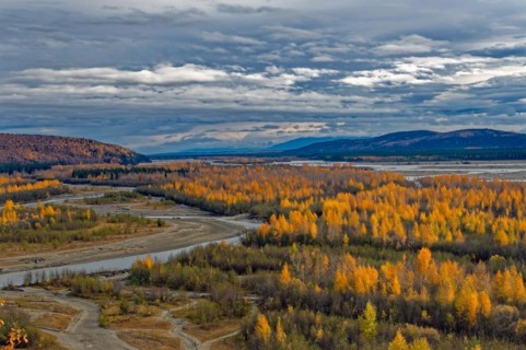 Tanana Valley, autumn, intense colouring, behind Tanana River, Central Alaska, Alaska, USA, North