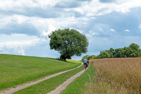 Cycle path on the dyke near Maasholm, Schleswig-Holstein, Germany, Europe