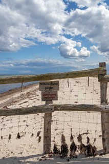 Fence in front of nature reserve, Maasholm, Schleswig-Holstein, Germany, Europe