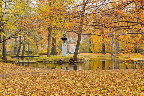 Pillnitz Palace Park English Garden