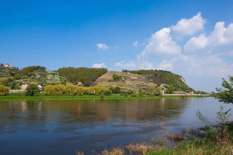 Elbe at the Boselspitze