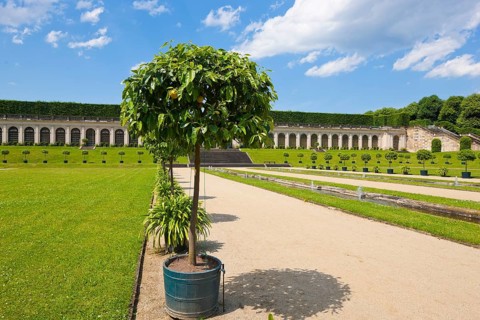 Baroque Park Grossedlitz Silent Music