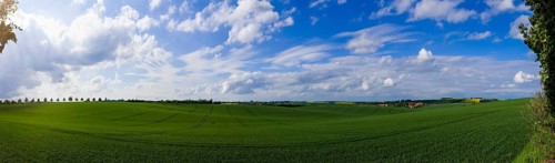 Fields near Lommatzsch