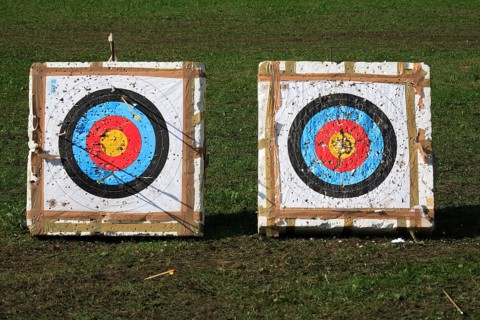 Sport, shot target during archery