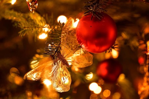 Christmas Decoration Butterfly with Christmas Tree Ball Hanging on Fir Tree