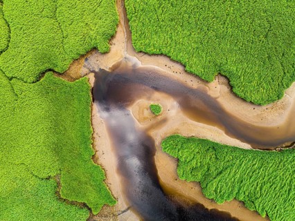 Top Down over Sharpham Meadows and Marsh over River Dart from a drone, Totnes, Devon, England,