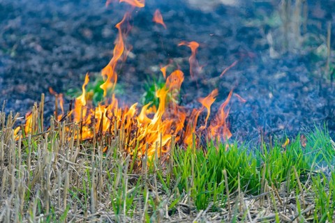 During controlled field fires, the firefighters were able to test various extinguishing methods,