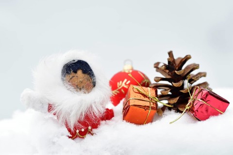 Christmas decoration, Inuit with Christmas tree ball and pine cones and Christmas presents lying in