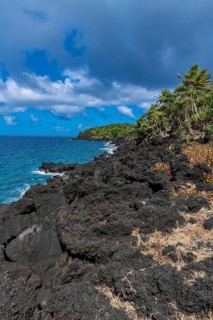 Volcanic south coast of Taveuni, Fiji, South Pacific, Oceania