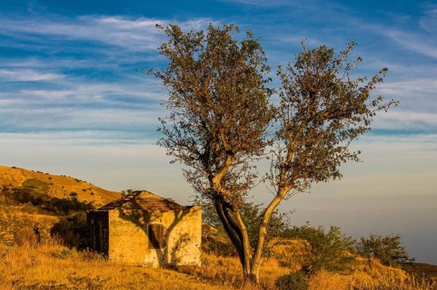 Small house, Fogo. Cabo Verde. Africa